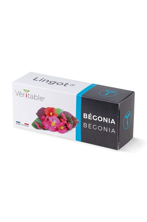 Ένθετο σπόρων Veritable Begonia