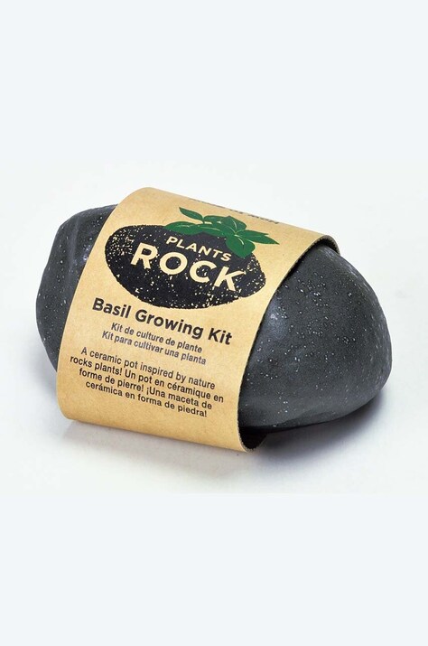 Σετ για την καλλιέργεια φυτών Noted Plants Rock - Basil