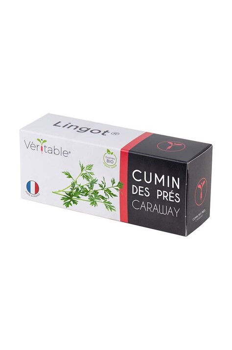 Ένθετο σπόρων Veritable Caraway