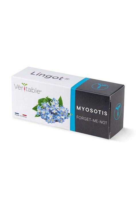 Ένθετο σπόρων Veritable Myosotis