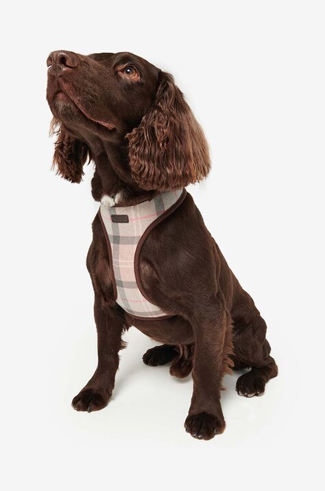 Λουρί για σκύλους Barbour