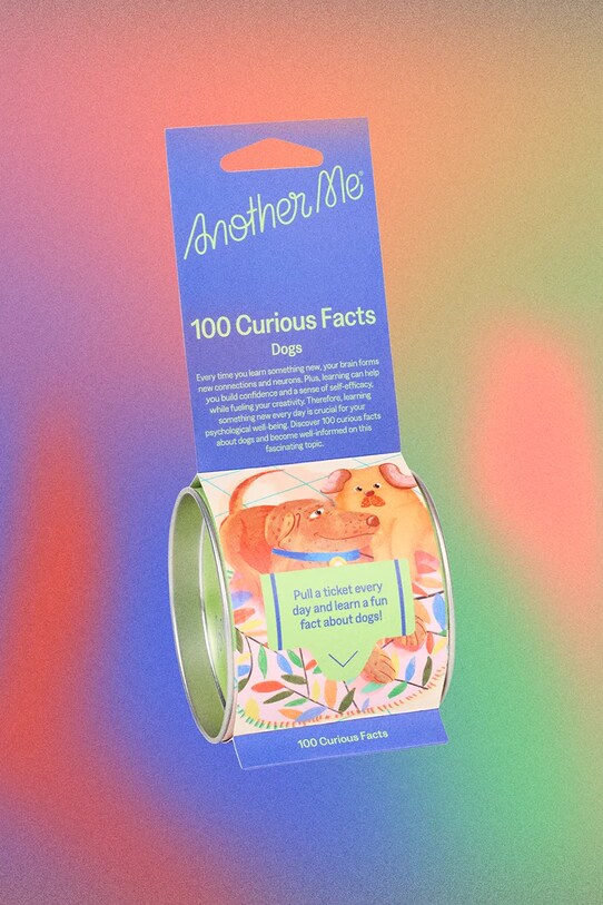 Σετ αυτοκόλλητων σημειώσεων Another Me 100 Curious Facts, Dogs, English πολύχρωμο AM100FBODOE