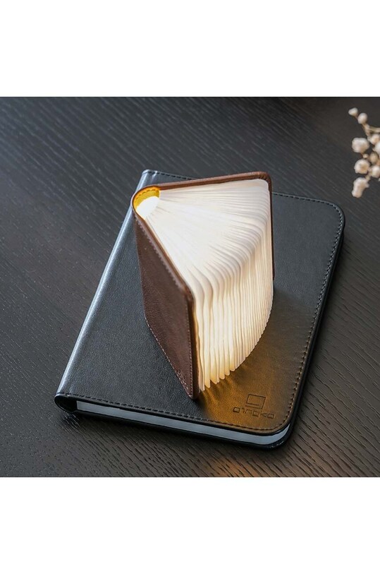 Σαλόνι και υπνοδωμάτιο Λάμπα led Gingko Design Mini Smart Book Light GK12L3 καφέ