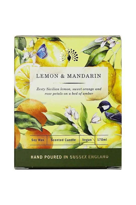 Αρωματικό κερί σόγιας The English Soap Company Lemon& Mandarin 170 ml 44LMC0014 πολύχρωμο AA00