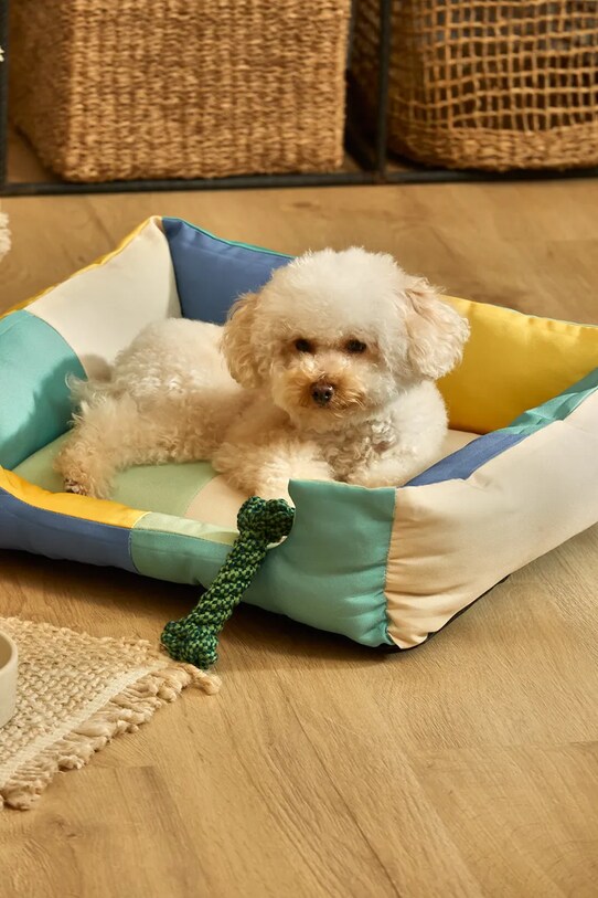 Buby S BUBY.DOGS.TUR