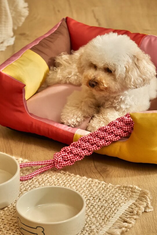 Buby S BUBY.DOGS.ROS