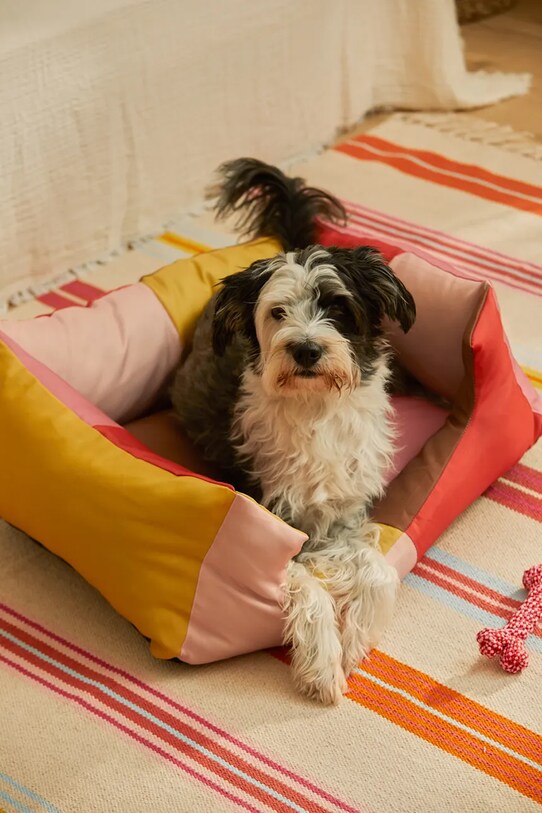 Buby M BUBY.DOGM.ROS