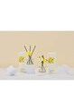 Διαχυτής αρώματος Cocodor Daffodil English Pearfree 120 ml πολύχρωμο PDI30933