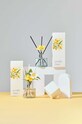 Διαχυτής αρώματος Cocodor Daffodil English Pearfree 120 ml PDI30933 πολύχρωμο