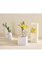 Διαχυτής αρώματος Cocodor Daffodil Deep Musk 120 m PDI30935 πολύχρωμο AA00