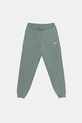 Παιδικό φούτερ Puma ESS 2 COLOR No. 1 Logo Sweatpants FL πλεκτό ύφασμα πράσινο 685824