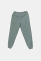 Παιδικό φούτερ Puma ESS 2 COLOR No. 1 Logo Sweatpants FL 685824 πράσινο SS25